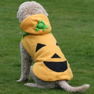 Big Dog Halloween Costume